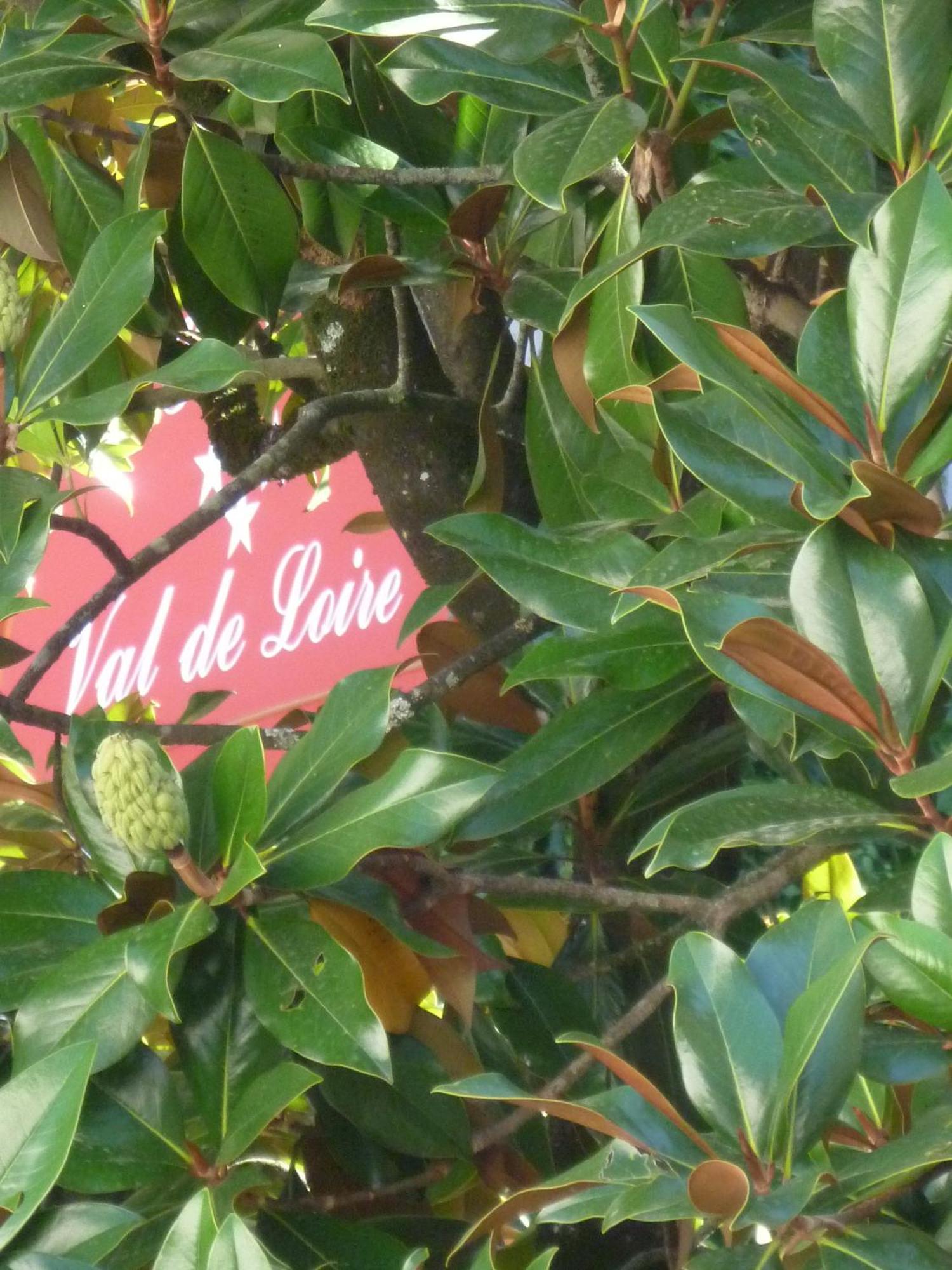אזאי-לה-רידיו Hotel Val De Loire מראה חיצוני תמונה